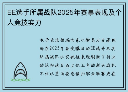 EE选手所属战队2025年赛事表现及个人竞技实力
